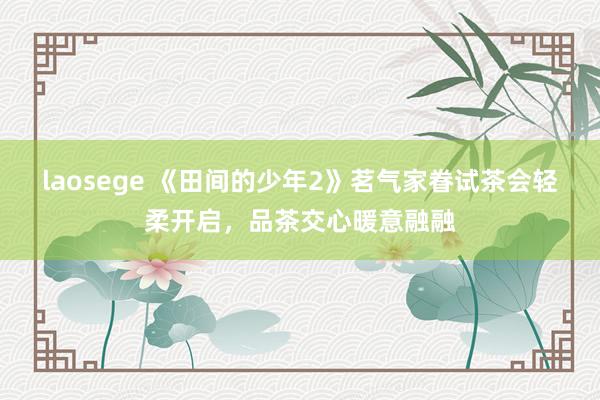 laosege 《田间的少年2》茗气家眷试茶会轻柔开启，品茶交心暖意融融