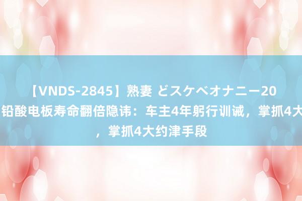 【VNDS-2845】熟妻 どスケベオナニー20連発！！ 铅酸电板寿命翻倍隐讳：车主4年躬行训诫，掌抓4大约津手段