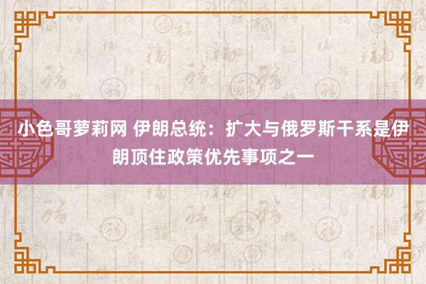 小色哥萝莉网 伊朗总统：扩大与俄罗斯干系是伊朗顶住政策优先事项之一