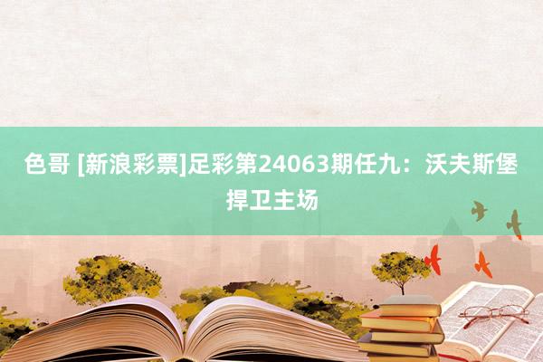 色哥 [新浪彩票]足彩第24063期任九：沃夫斯堡捍卫主场