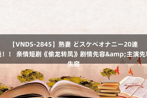 【VNDS-2845】熟妻 どスケベオナニー20連発！！ 亲情短剧《偷龙转凤》剧情先容&主演先容