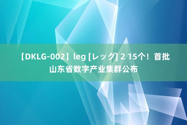 【DKLG-002】leg [レッグ] 2 15个！首批山东省数字产业集群公布