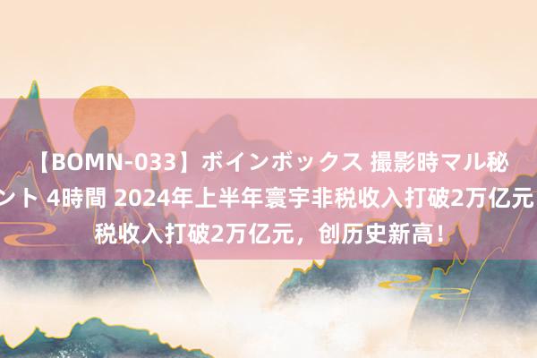 【BOMN-033】ボインボックス 撮影時マル秘面接ドキュメント 4時間 2024年上半年寰宇非税收入打破2万亿元，创历史新高！