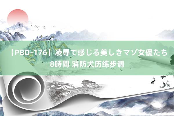 【PBD-176】凌辱で感じる美しきマゾ女優たち8時間 消防犬历练步调