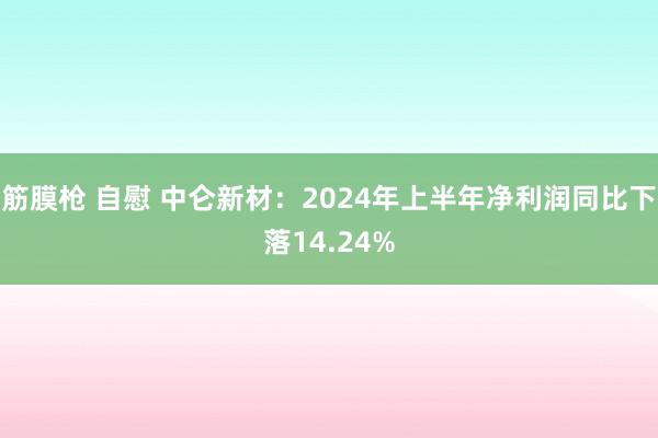 筋膜枪 自慰 中仑新材：2024年上半年净利润同比下落14.24%