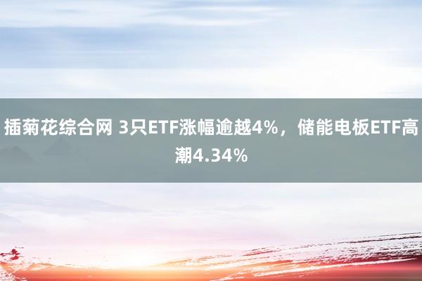 插菊花综合网 3只ETF涨幅逾越4%，储能电板ETF高潮4.34%