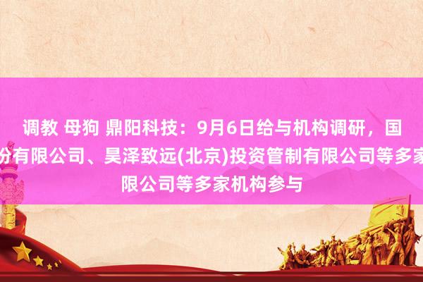 调教 母狗 鼎阳科技：9月6日给与机构调研，国投证券股份有限公司、昊泽致远(北京)投资管制有限公司等多家机构参与