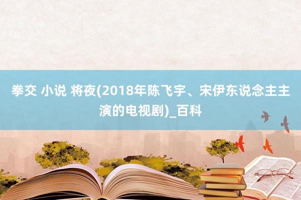 拳交 小说 将夜(2018年陈飞宇、宋伊东说念主主演的电视剧)_百科