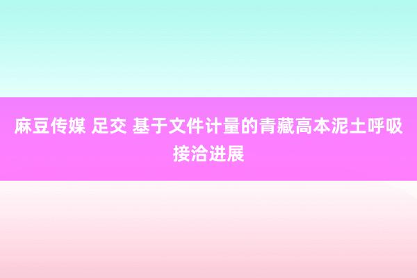 麻豆传媒 足交 基于文件计量的青藏高本泥土呼吸接洽进展