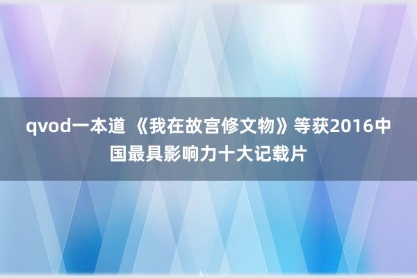 qvod一本道 《我在故宫修文物》等获2016中国最具影响力十大记载片